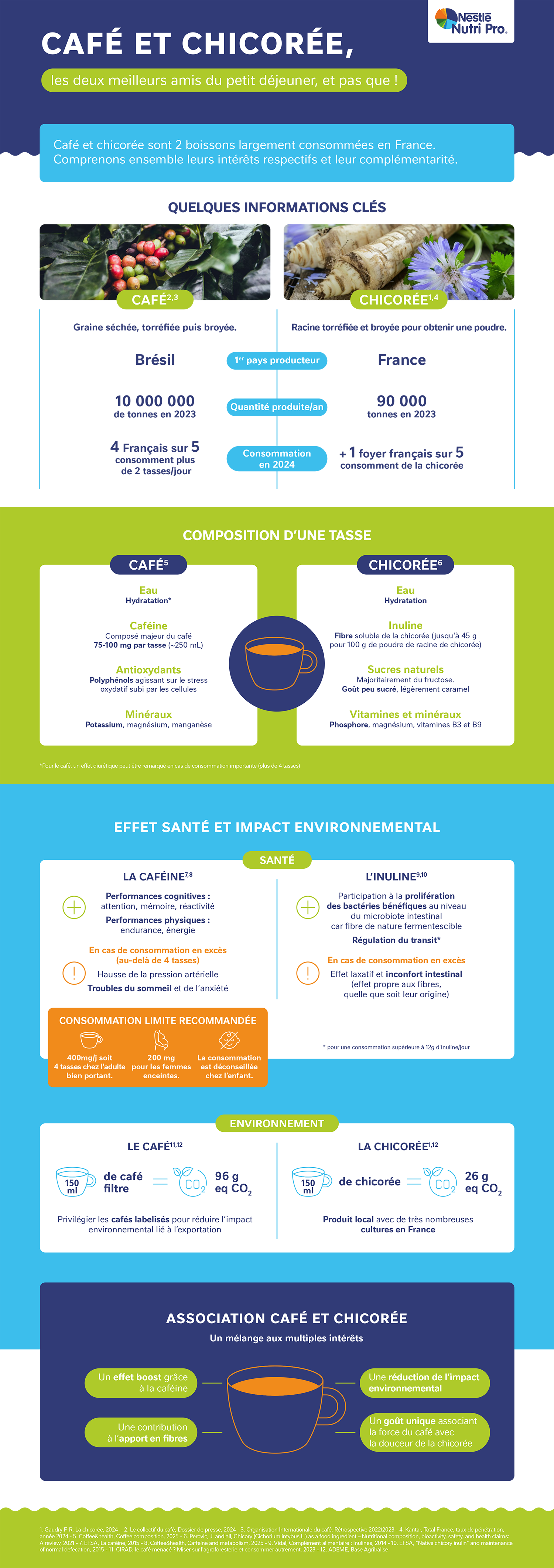  Café et chicorée infogaphie