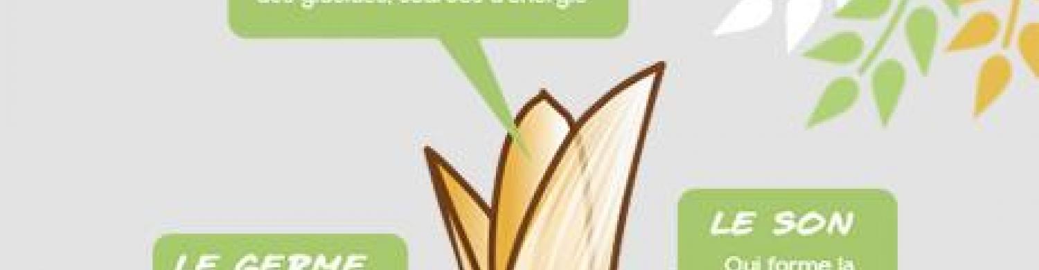 Les céréales complètes.