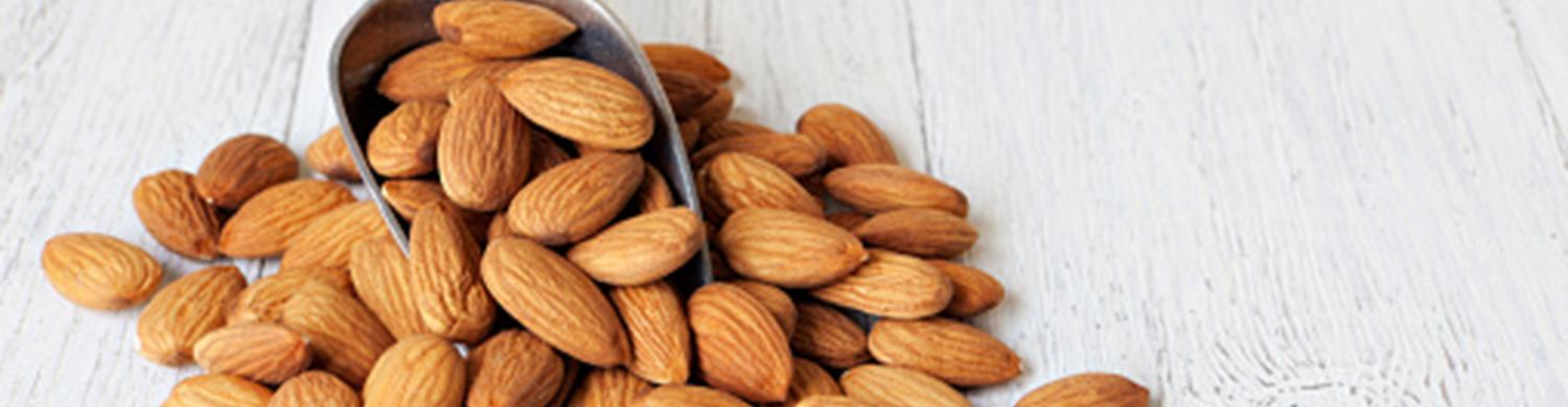 Impact de la consommation d’amandes sur la cholestérolémie