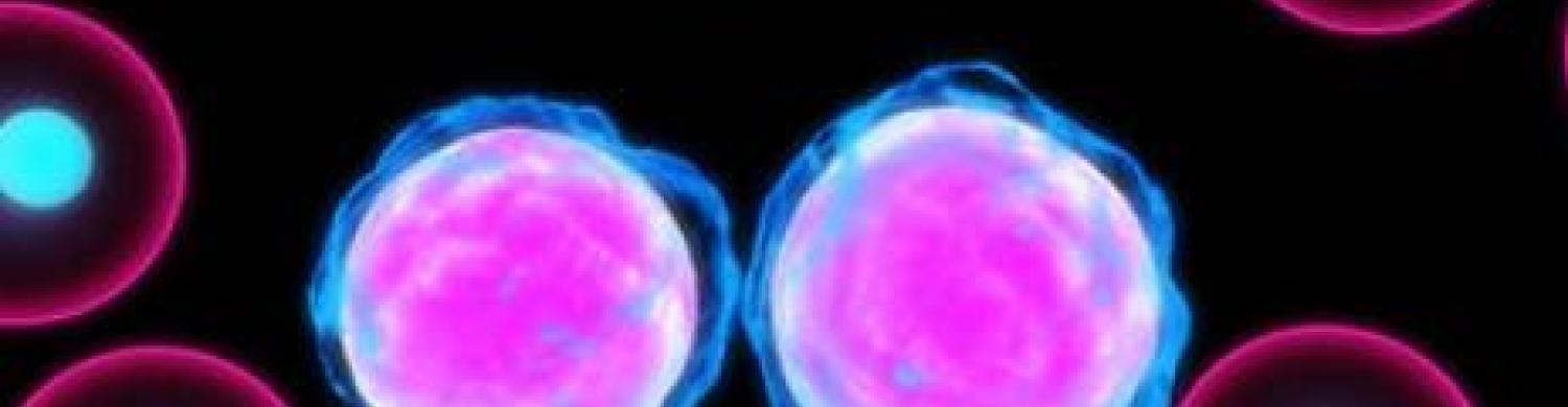 Un aperçu sur les cancer