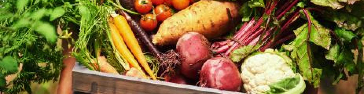 fuits_reperes_nutritionnels_anses_nestle