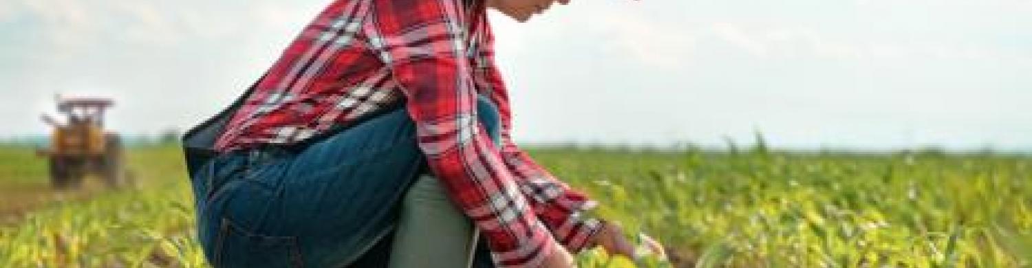 pnns_recommandations_nutritionnelles