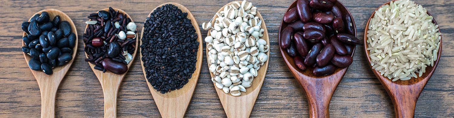 Protéines végétales