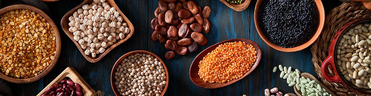 Les 5 groupes alimentaires