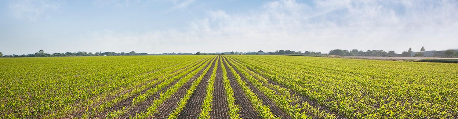 210719__0059_Visuel ligne 511-GettyImages-130409782