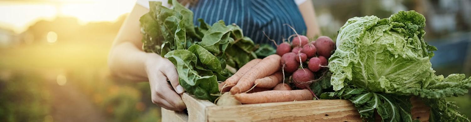une fermière porte un panier de légumes