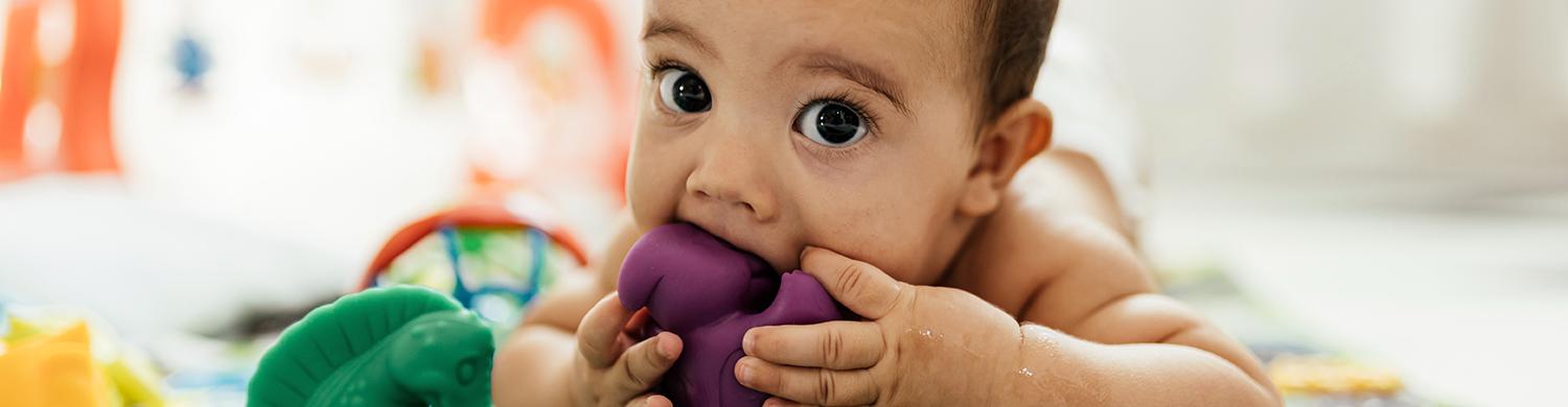 un bébé porte des jouets à sa bouche