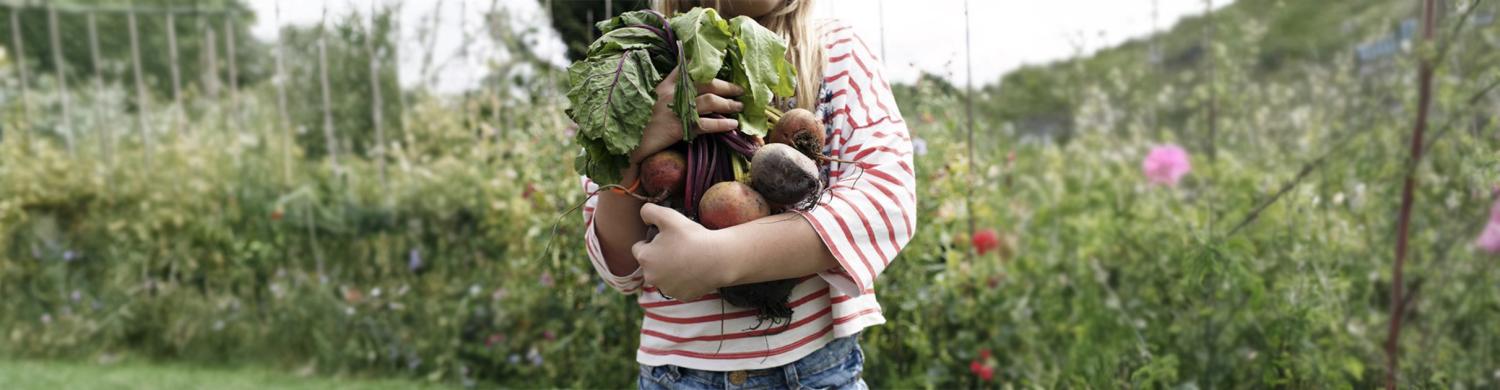 enfant tenant des légumes juste cueillis