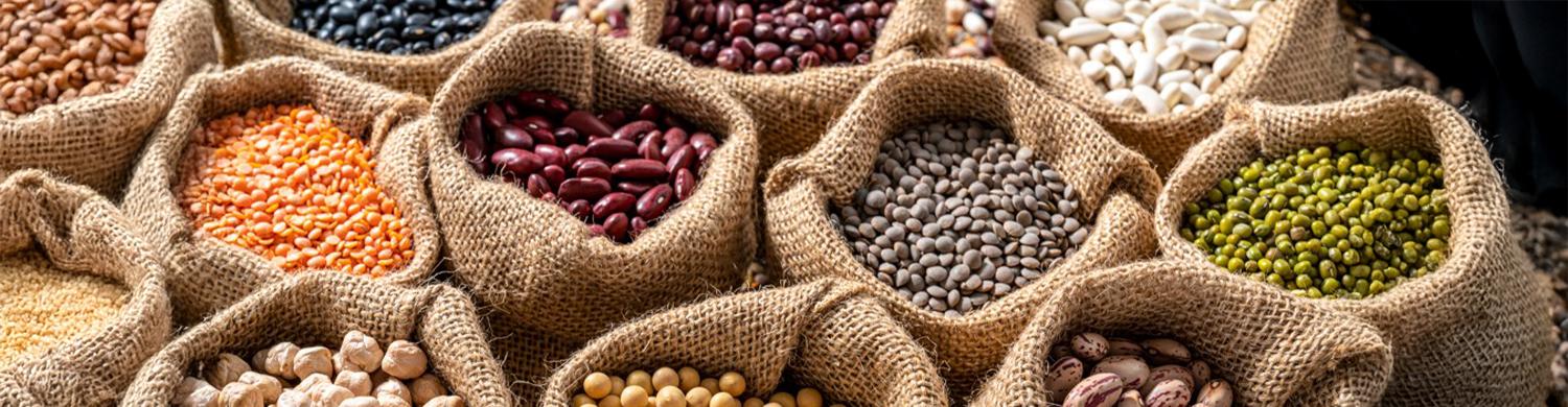 sacs contenant différentes légumineuses