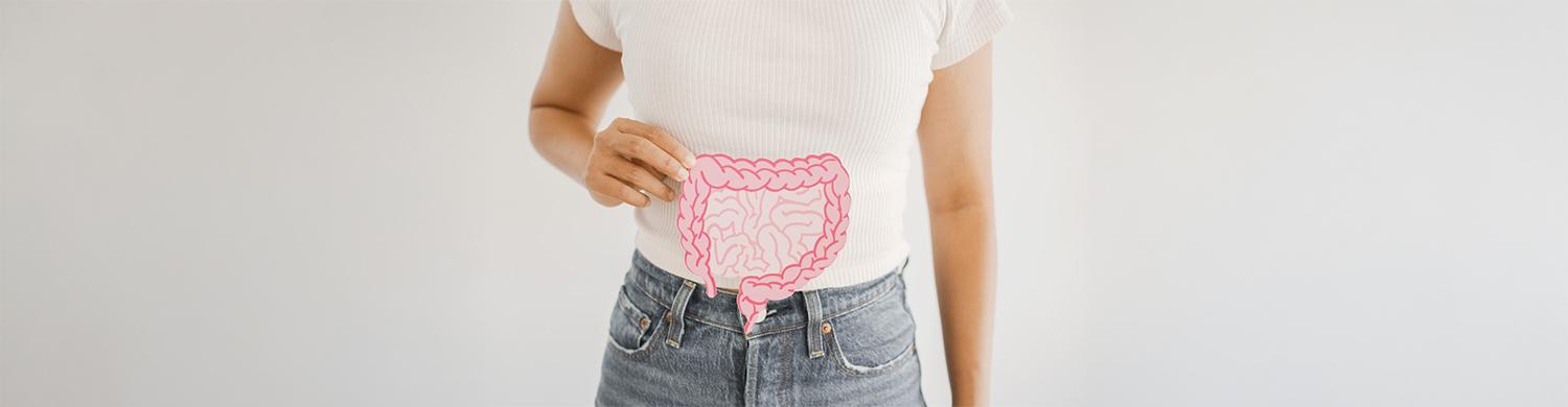 personne tenant un schéma d’appareil digestif