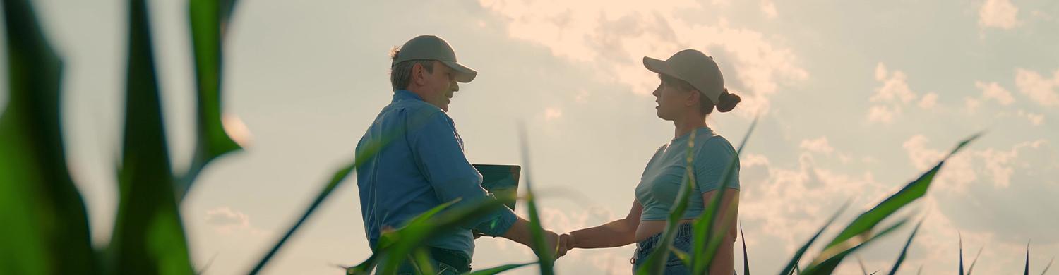 Deux personnes se serrent la main au milieu d’un champ de cultures, avec de la végétation au premier plan et un ciel lumineux