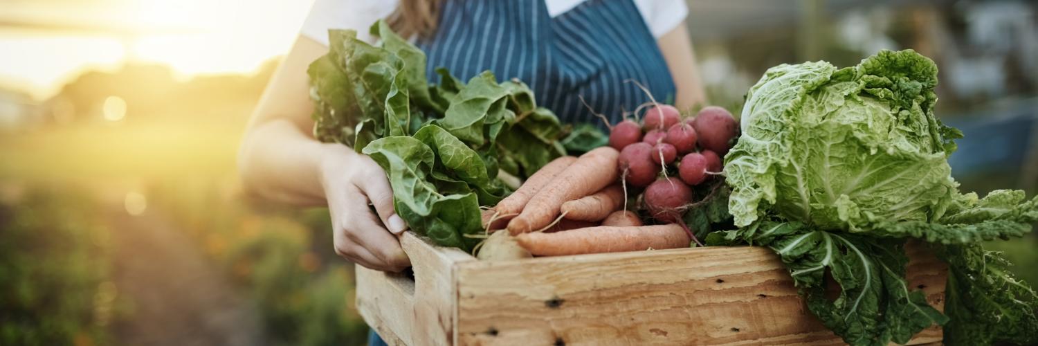 une fermière porte un panier de légumes