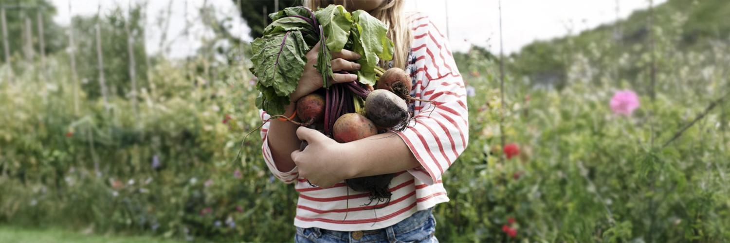 enfant tenant des légumes juste cueillis