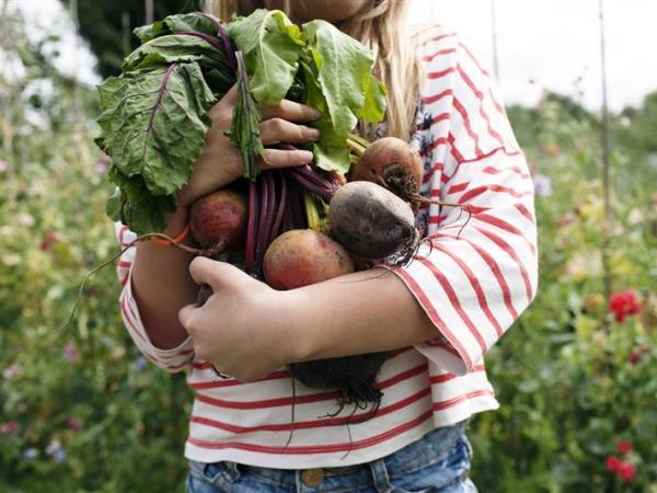 enfant tenant des légumes juste cueillis
