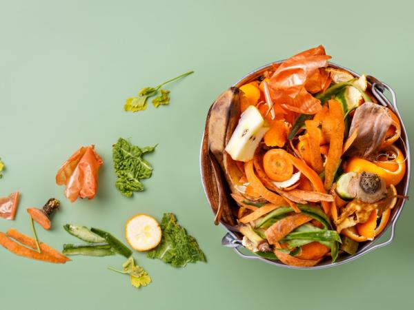 seau à compost remplis d’épluchures de légumes