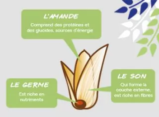 Les céréales complètes.