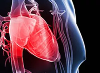 UN APERÇU SUR LES PATHOLOGIES CARDIOVASCULAIRES