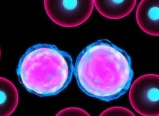 Un aperçu sur les cancer