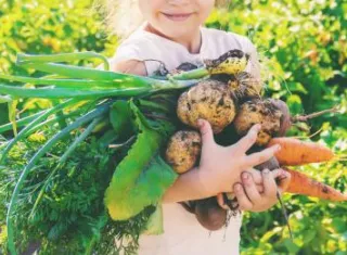 alimentation_durable