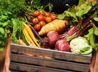 fuits_reperes_nutritionnels_anses_nestle