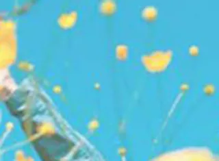 Un aperçu sur la constipation