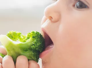Introduction des morceaux dans l’alimentation du bébé. 