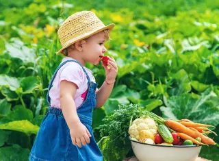 enfant avec un chapeau qui mange une fraise à côté d’une corbeille de fruits et légumes, dans un champ