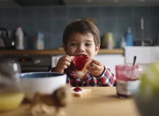 un enfant mange une tartine de confiture au petit-déjeuner