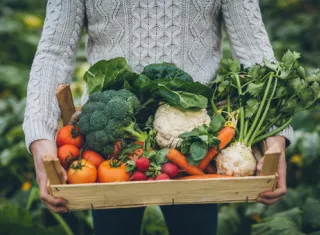 personne tenant un panier de légumes