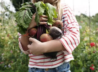 enfant tenant des légumes juste cueillis