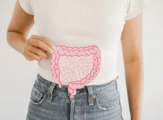 personne tenant un schéma d’appareil digestif