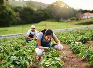 femme travaillant dans un champ de légumes