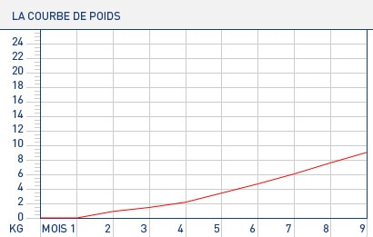 Prise de poids grossesse calcul